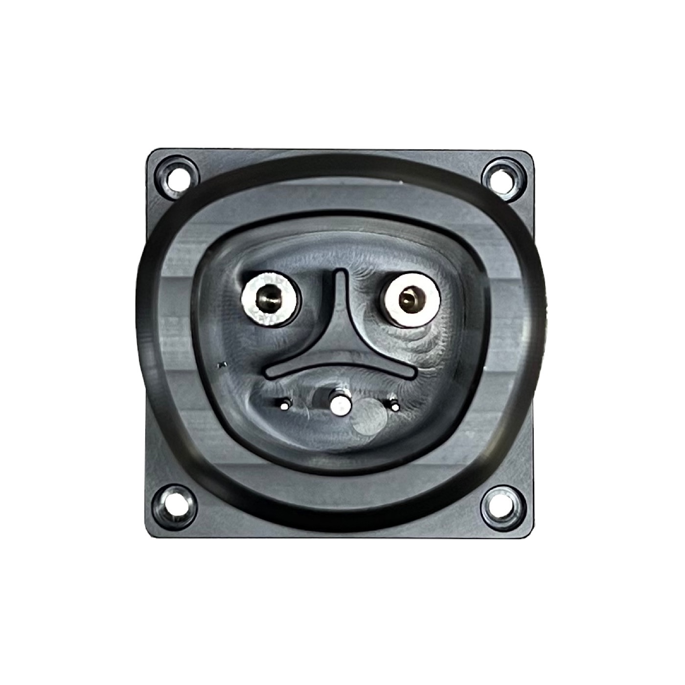 NACS (Tesla) 48A Charge Port